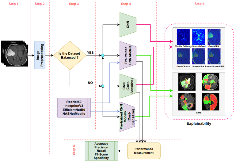 Explainable cost-sensitive deep neural networks for brain tumor detection from brain MRI images considering data imbalance